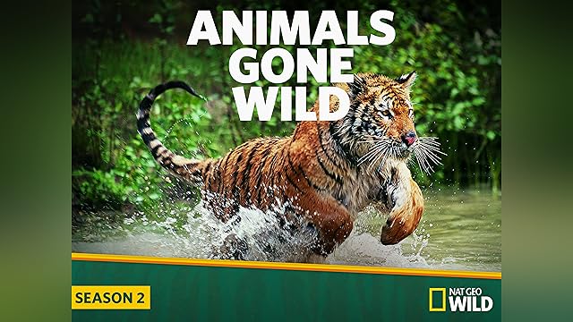 (未使用･未開封品)Nature: Animals Gone Wild [DVD] Amazon.com: WildLife DVD 遊戲: 玩具和遊戲